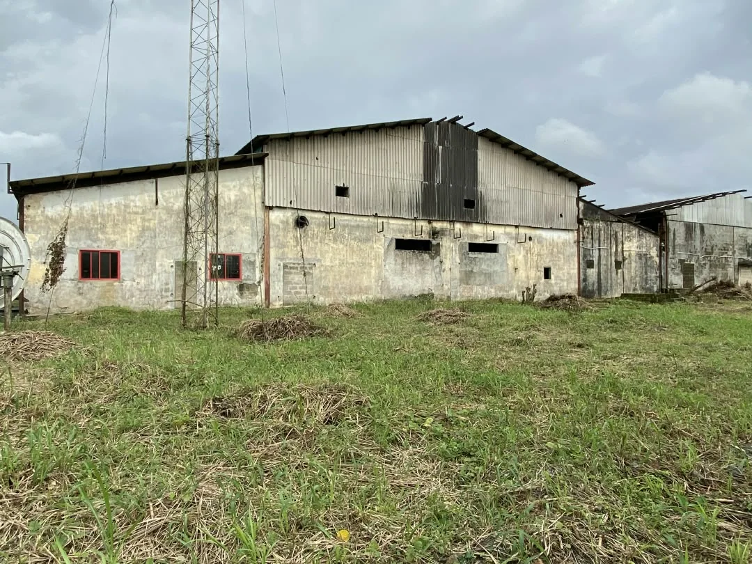 Rear elevation of the original industrial building